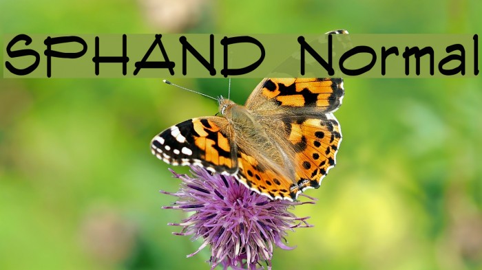 SPHAND Normal Font examples