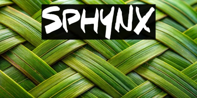 SPHYNX Example 2