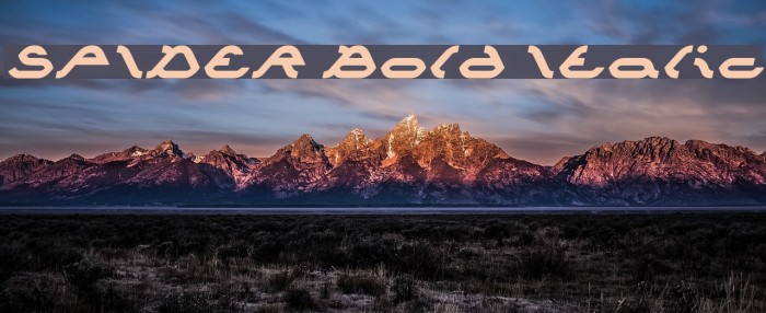 SPIDER Bold Italic Font examples