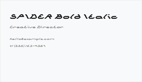 SPIDER Bold Italic Business Card