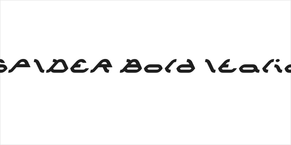 SPIDER Bold Italic Logo