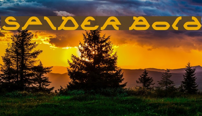 SPIDER Bold Font examples