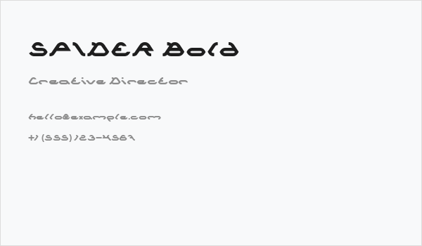 SPIDER Bold Business Card