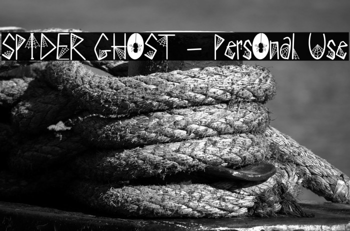 SPIDER GHOST - Personal Use Example 1