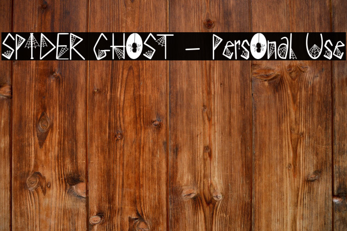 SPIDER GHOST - Personal Use Example 2