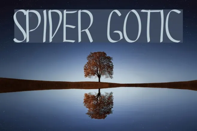 SPIDER GOTIC Example 2