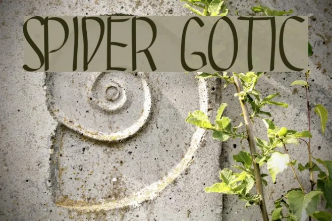 SPIDER GOTIC Example 3