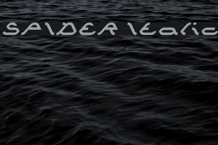 SPIDER Italic Font examples
