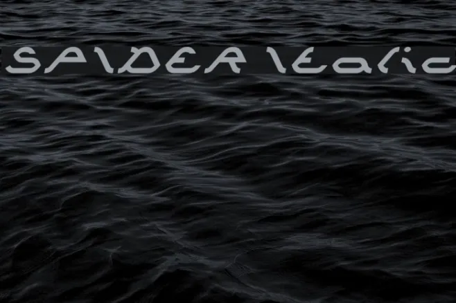 SPIDER Italic Example 1