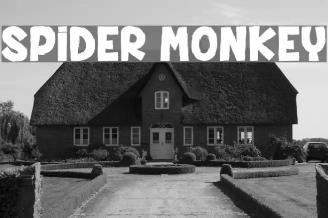 SPIDER MONKEY Schriftart examples