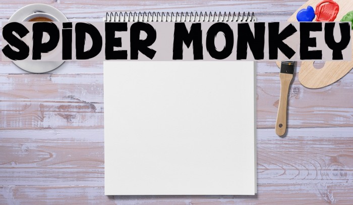 SPIDER MONKEY Font examples