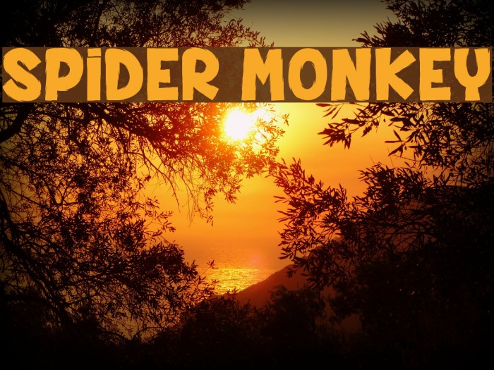 SPIDER MONKEY Font examples