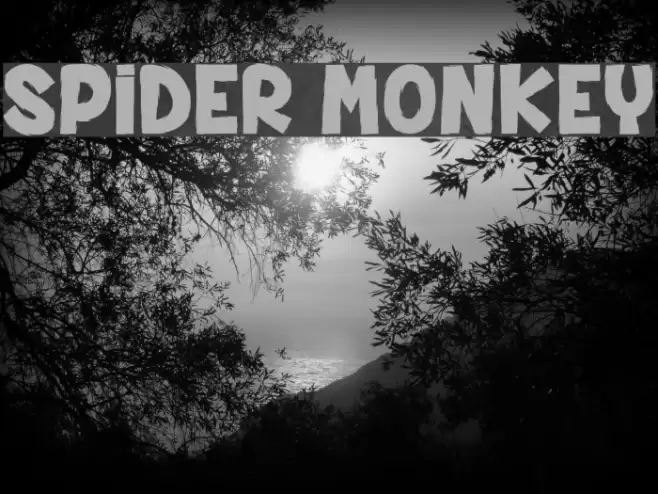 SPIDER MONKEY Schriftart examples