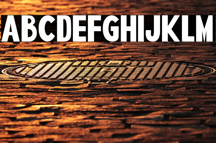 SPIDER NEST Example 2