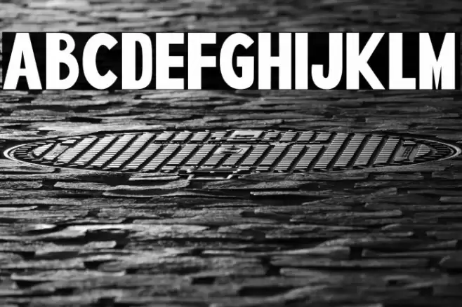 SPIDER NEST Font examples