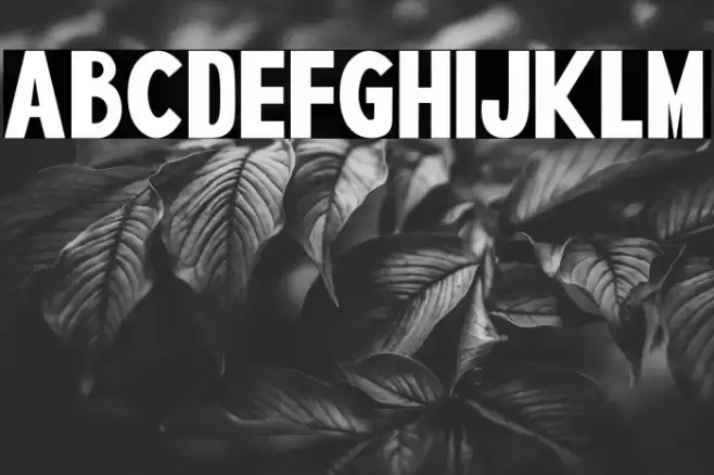 SPIDER NEST Font examples