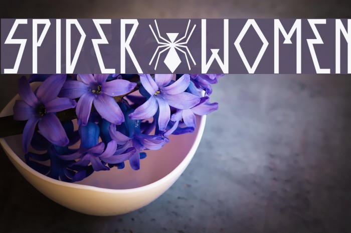SPIDER-WOMEN Example 1