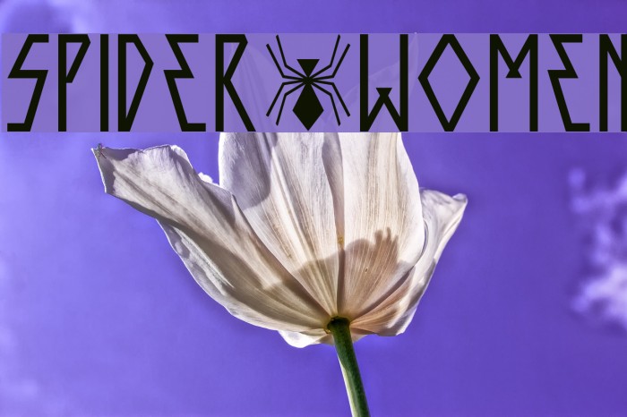 SPIDER-WOMEN Example 2
