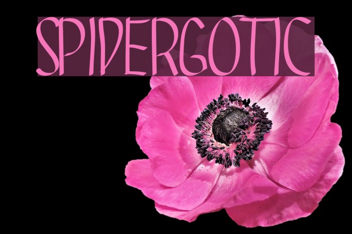 SPIDERGOTIC Font examples