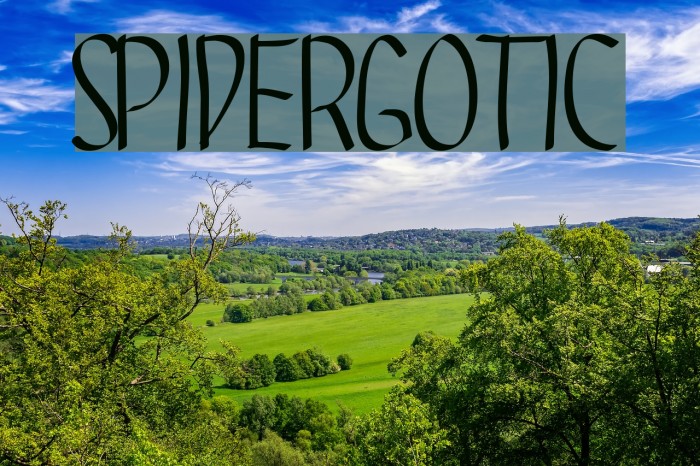 SPIDERGOTIC Font examples