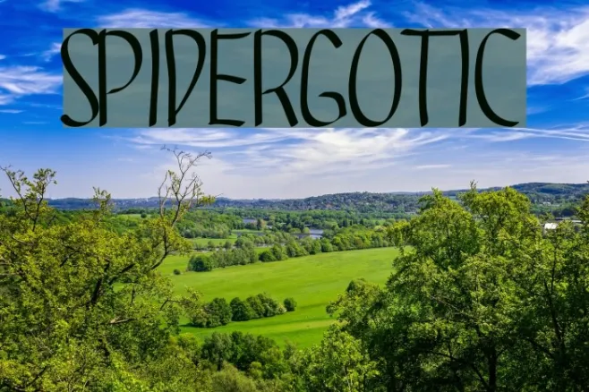 SPIDERGOTIC Example 3