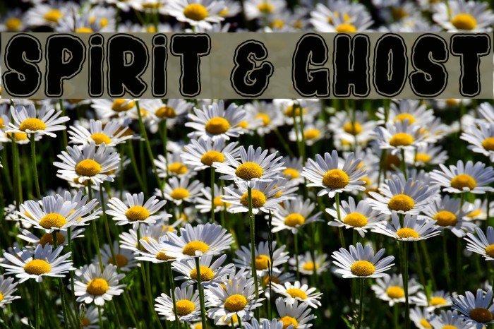 SPIRIT & GHOST Font examples