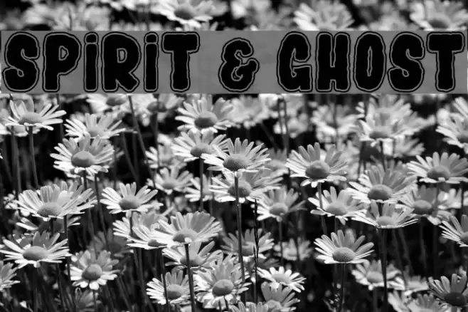 SPIRIT & GHOST Schriftart examples