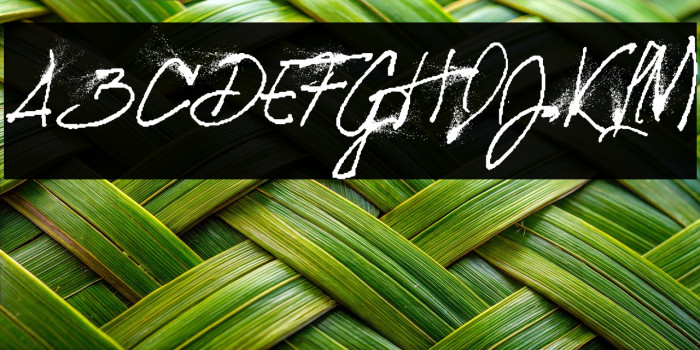 SPLATTED PERSONAL USE Regular Example 2