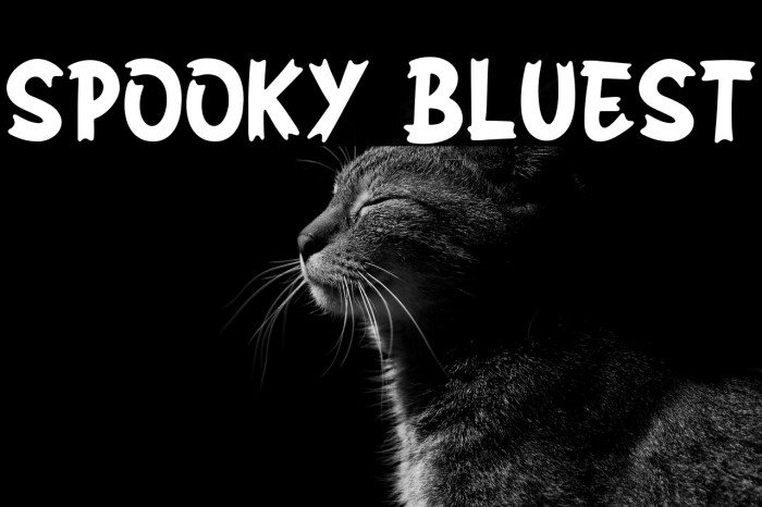 SPOOKY BLUEST Example 1