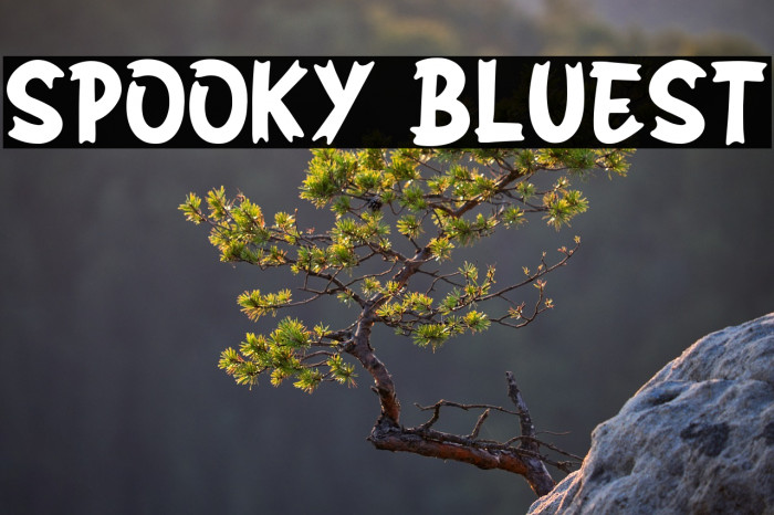 SPOOKY BLUEST Example 3