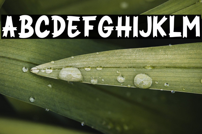 SPOOKYBLUEST Example 1