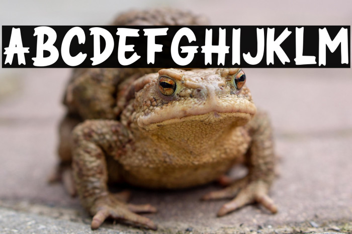 SPOOKYBLUEST Example 2