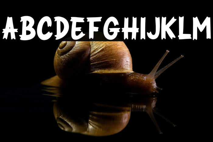 SPOOKYBLUEST Example 3