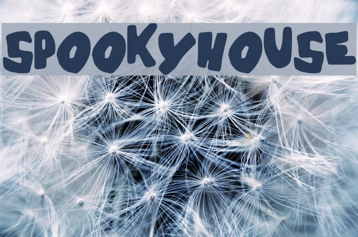 SPOOKYHOUSE_ Font examples
