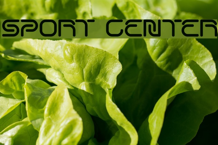 SPORT CENTER Font examples