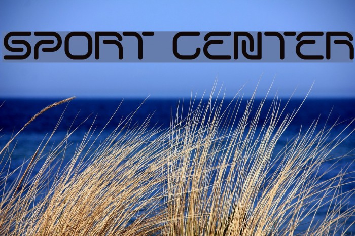 SPORT CENTER Font examples