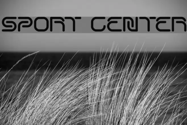 SPORT CENTER Fonte examples