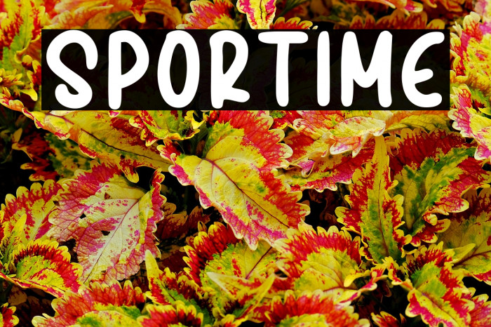 SPORTIME Example 3