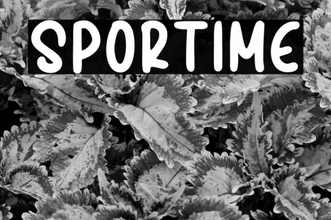 SPORTIME Font examples