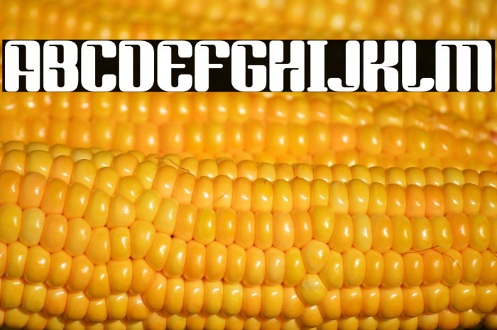 SPORTY VISTA Example 2