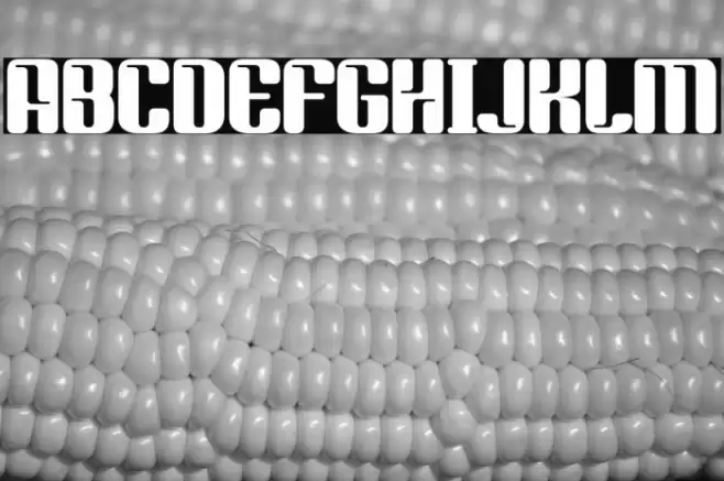 SPORTY VISTA Font examples