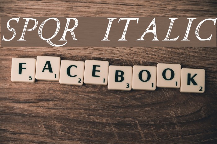 SPQR Italic Font examples