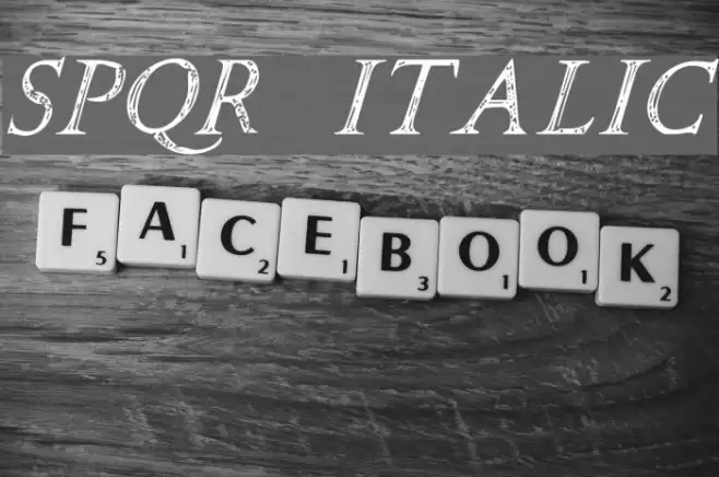 SPQR Italic Font examples