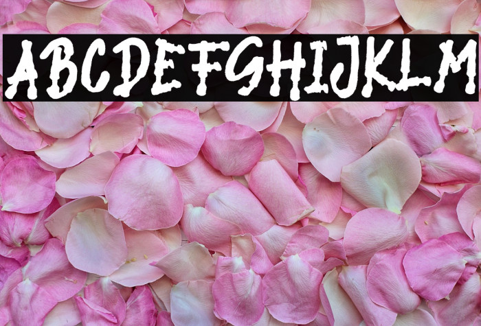 SPRAY BRUSH Example 2