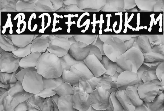 SPRAY BRUSH Font examples