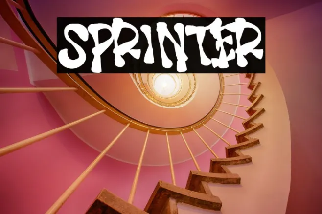 SPRINTER Example 2