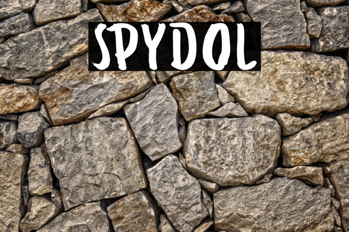 SPYDOL Example 1