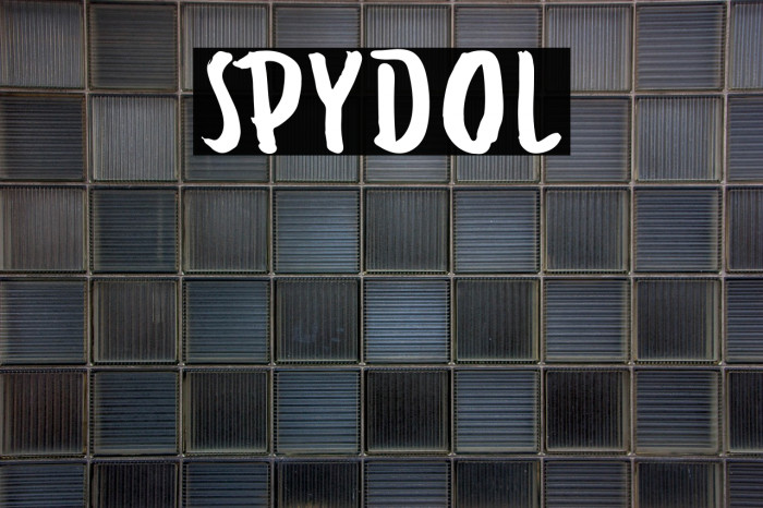 SPYDOL Example 2