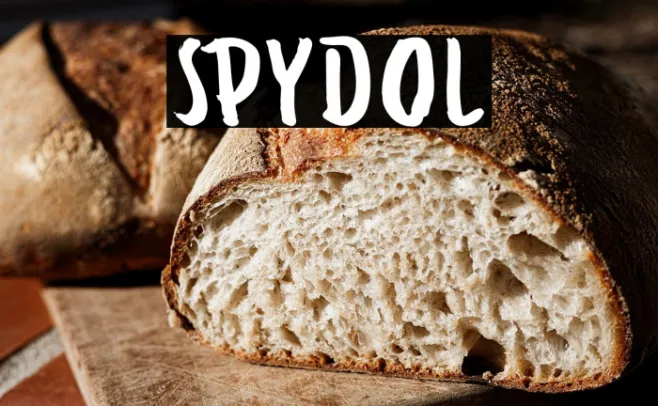 SPYDOL Example 3
