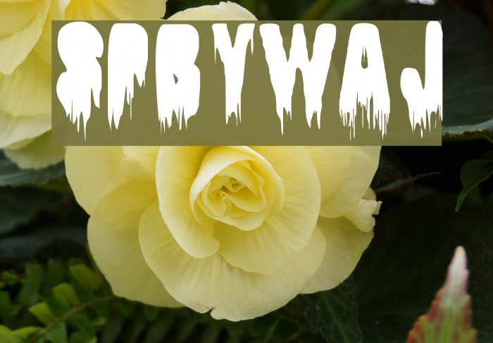 SpBywaj Font examples